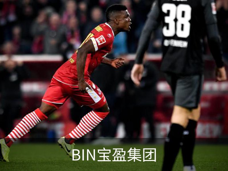 BIN宝盈集团品牌故事